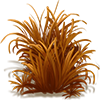 tall_grass[1].png