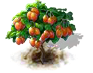 tamarillo_upgrade_0_Icon.png