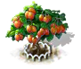 Tamarillobaum xl.png