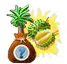 Tiki-Raetselbaum_Hokkaoido-Okt16[1].png