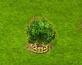 tilia_upgrade_2.gif