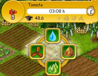 Tomate mit Schicksalstrank.jpg