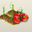 Tomate.png