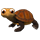 Tortoise.png