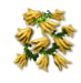 TpL7cqv[1].png