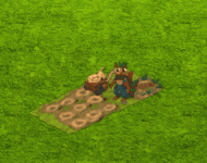 trainingaug2025squirrel.gif