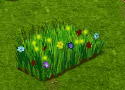trainingmar2019firefly_0[1].gif