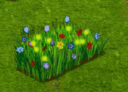 trainingmar2019firefly_1[1].gif