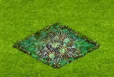 trainingmar2019paniccabbage.gif
