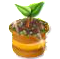trainseedling_tree_jul17_al.png