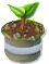trainseedling_tree_may20_am.png