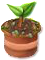 trainseedling_tree_may20_as.png