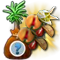 treeseedlingjune2017_bahamarama_nutmeg-plus_icon_big[1].png