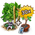 treeseedlingjune2017_package1_mainland_shoppanel_icon[1].png