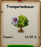 trompetenbaum.PNG
