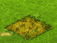 Tropicfern.gif