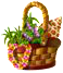 tropicresortjul2017basket1[1].png