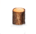 trunk_small.png