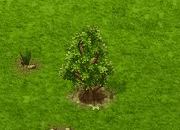 tuliptree_upgrade_0.gif