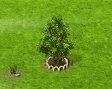 Tulpenbaum XL.gif