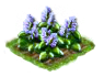 turkishbalm_Icon.png