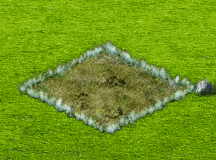 UjmEf[1].gif