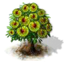 Ulme.png