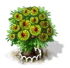 Ulme xl.png