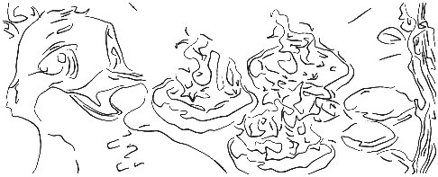 Unbenannt - 1.png