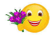 upload_2017-5-2_9-6-0.png