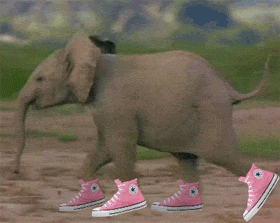 upload_2019-8-27_8-10-42.gif