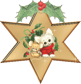 upload_2022-12-23_11-30-39.gif
