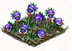 venusflytrap_Icon.png