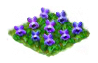 viola_Icon.png