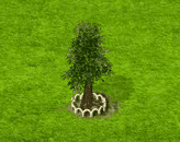 Vogelbeerbaum XL.gif