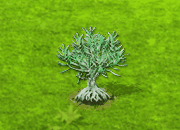 Wüstenrose.gif
