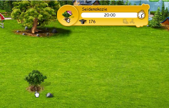 Waldlichtung 01.jpg