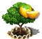 wampeeupgrade1[1].png