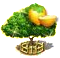wampeeupgrade2[1].png