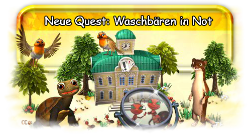 waschbär in not.png
