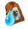 WasserGepaeckschild.png