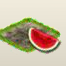 Wassermelone.png