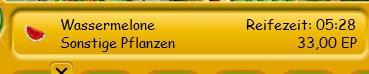 Wassermelone sonstige Aussaatlayer.jpg