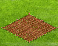 weekendqdec2021q2bloodorangeslices.gif