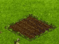 weeklyqaug2019brownsugar.gif