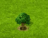 Weißdorn.gif