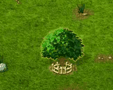 Weißdorn XXL.gif
