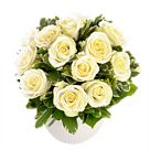 weisse Rosen.png