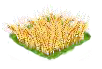 wheat_Icon.png