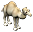whiteCamel.png